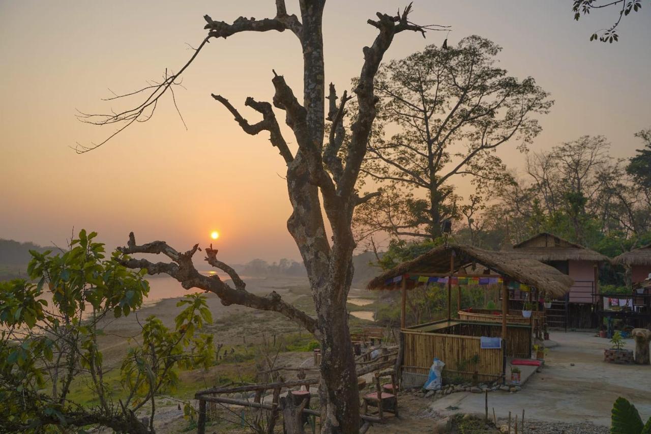 Bamby Chilling House - Feel The Nature Sauraha Esterno foto