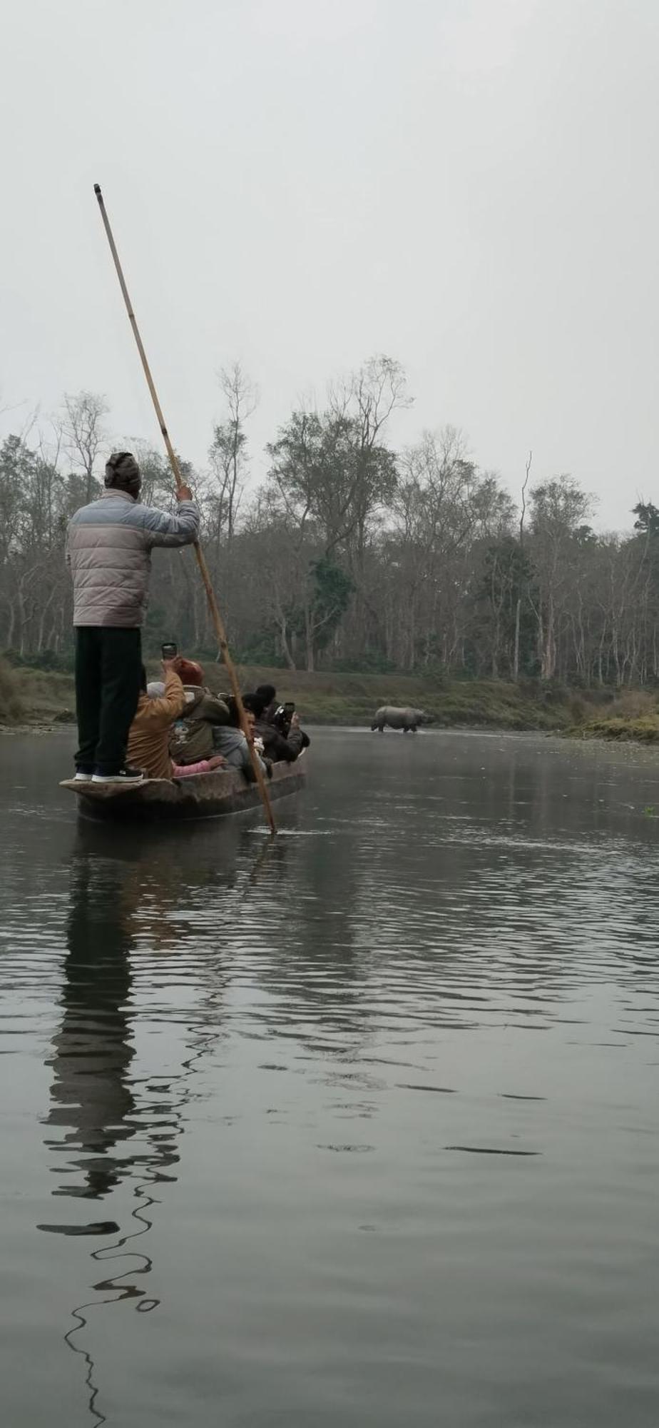 Bamby Chilling House - Feel The Nature Sauraha Esterno foto