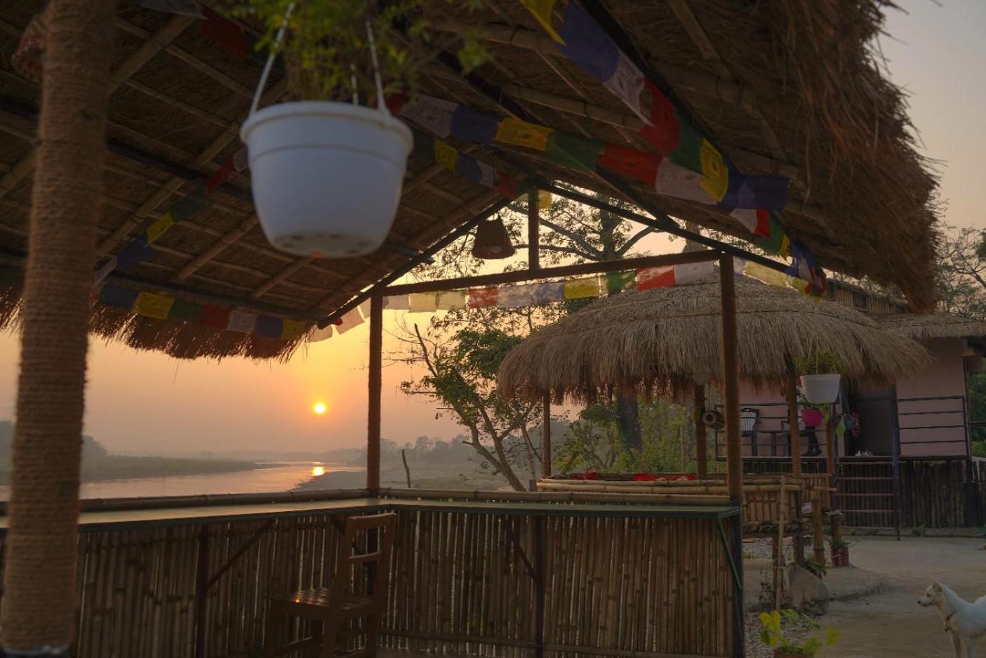 Bamby Chilling House - Feel The Nature Sauraha Esterno foto
