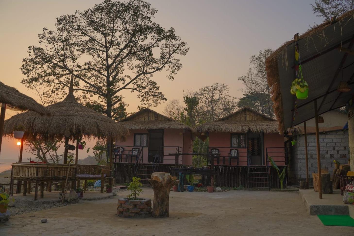Bamby Chilling House - Feel The Nature Sauraha Esterno foto
