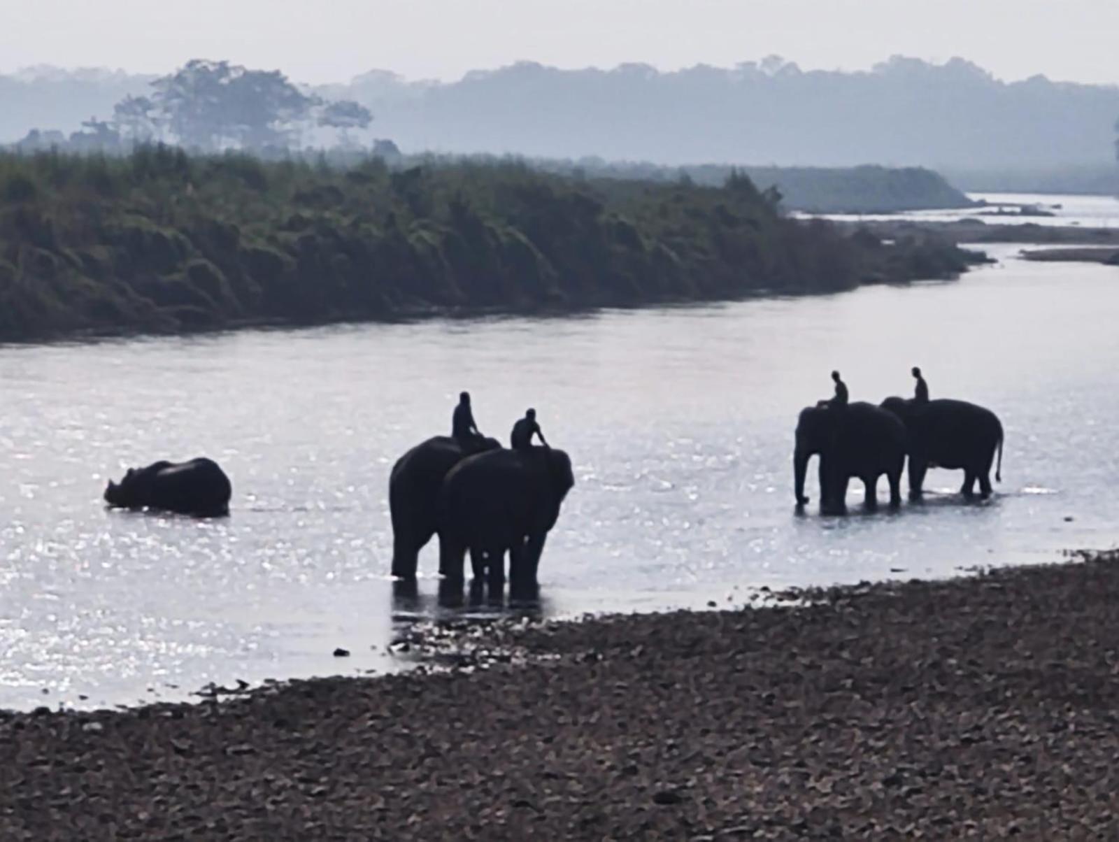 Bamby Chilling House - Feel The Nature Sauraha Esterno foto
