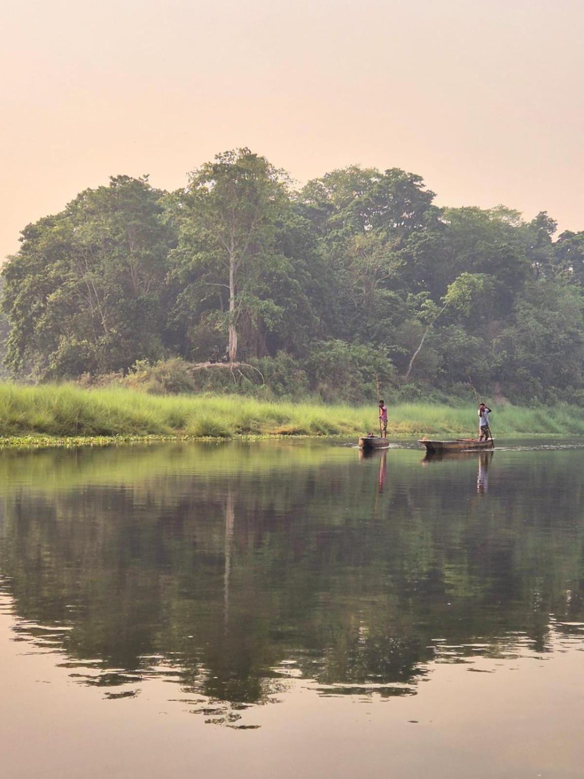 Bamby Chilling House - Feel The Nature Sauraha Esterno foto