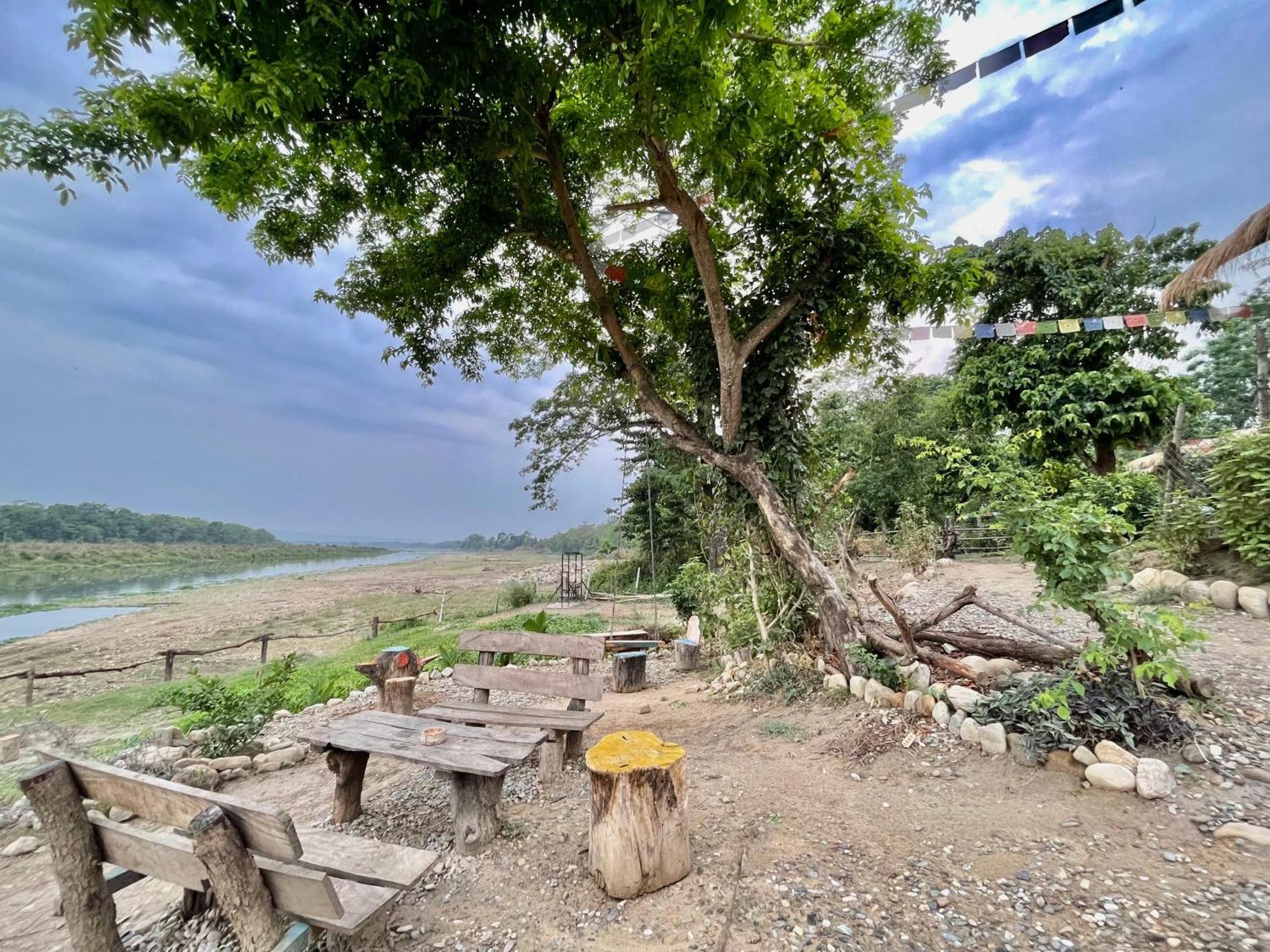 Bamby Chilling House - Feel The Nature Sauraha Esterno foto