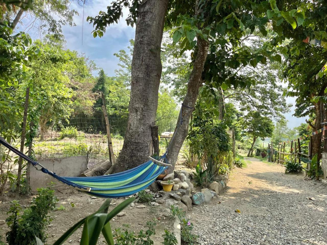Bamby Chilling House - Feel The Nature Sauraha Esterno foto