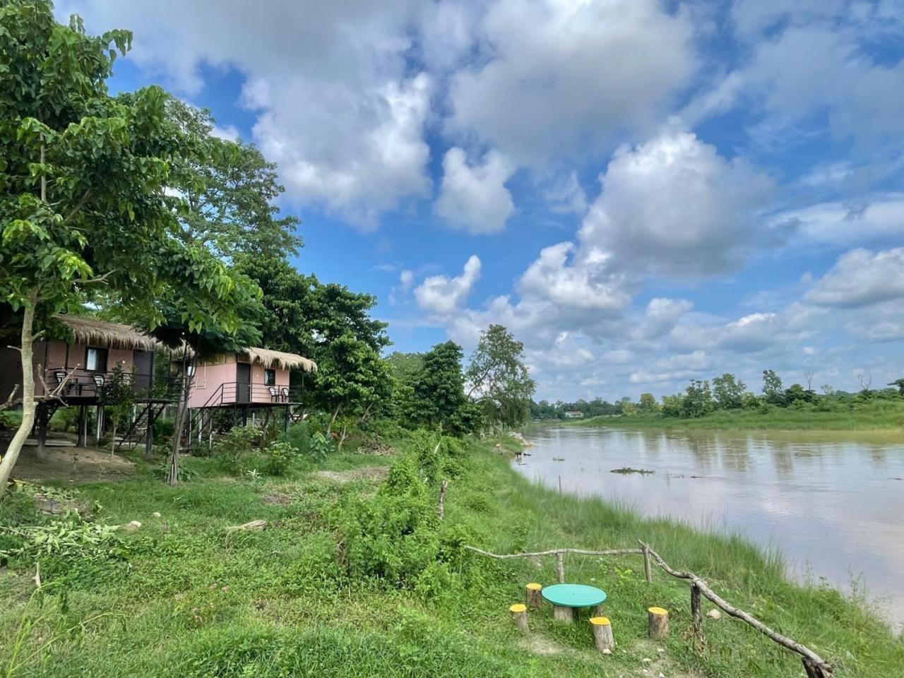 Bamby Chilling House - Feel The Nature Sauraha Esterno foto