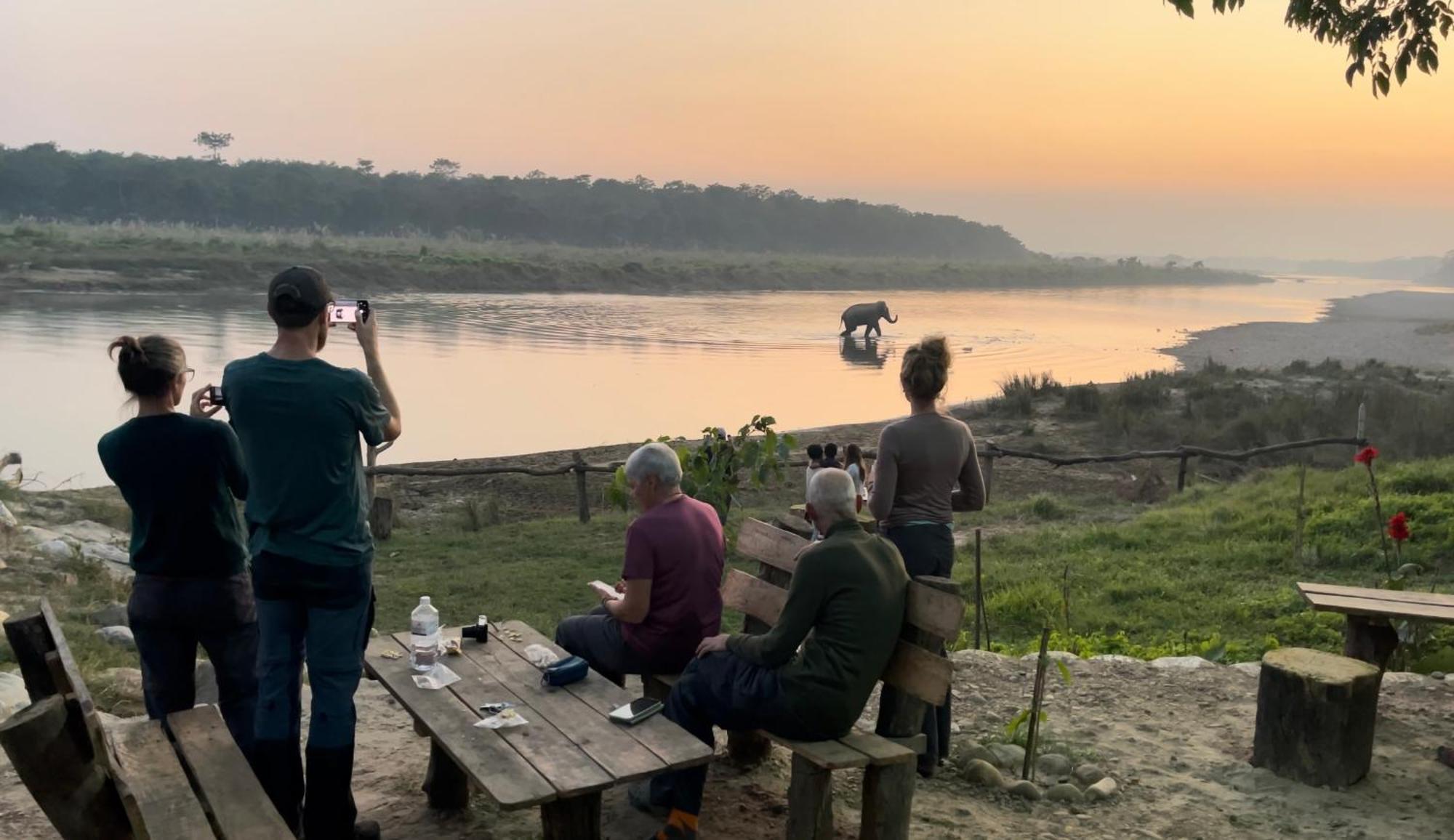Bamby Chilling House - Feel The Nature Sauraha Esterno foto