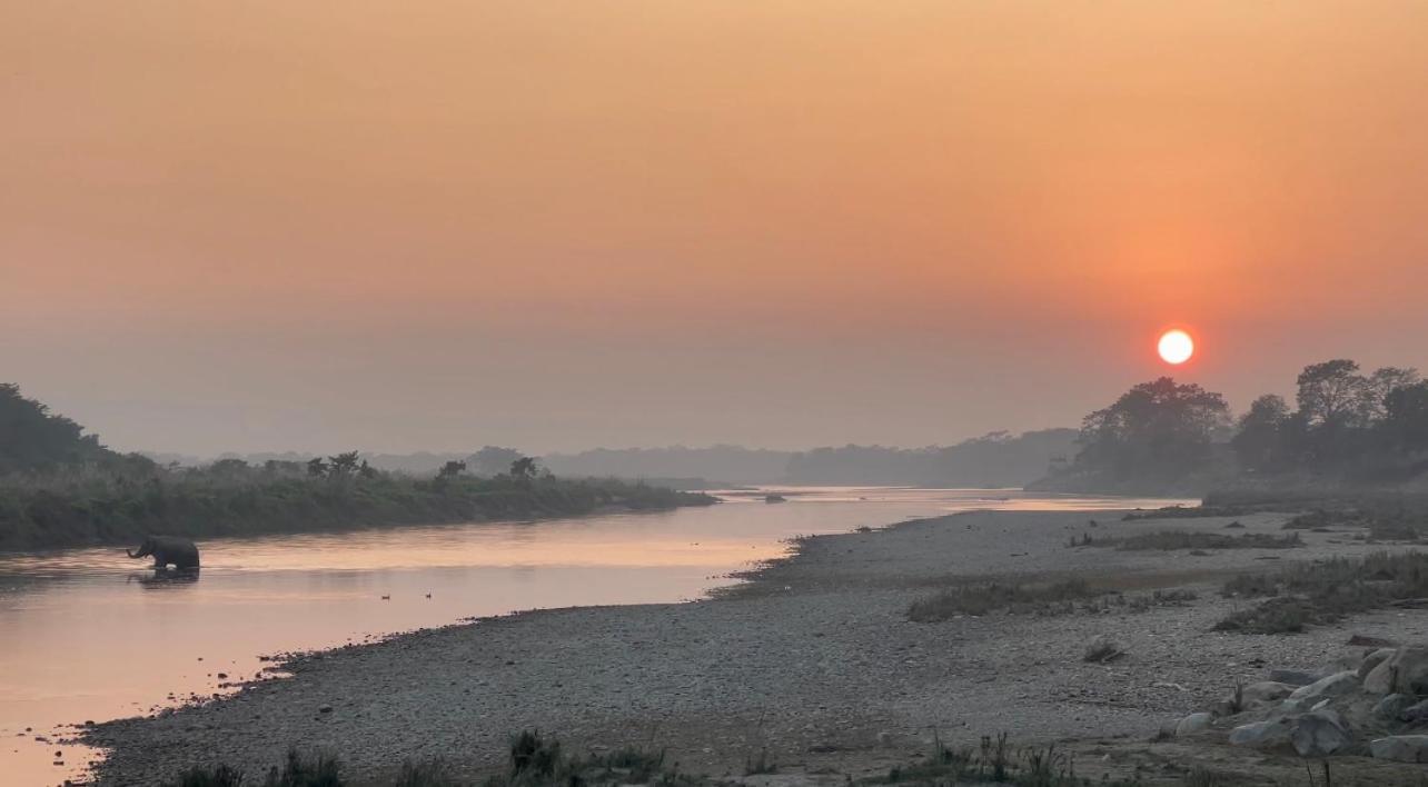 Bamby Chilling House - Feel The Nature Sauraha Esterno foto
