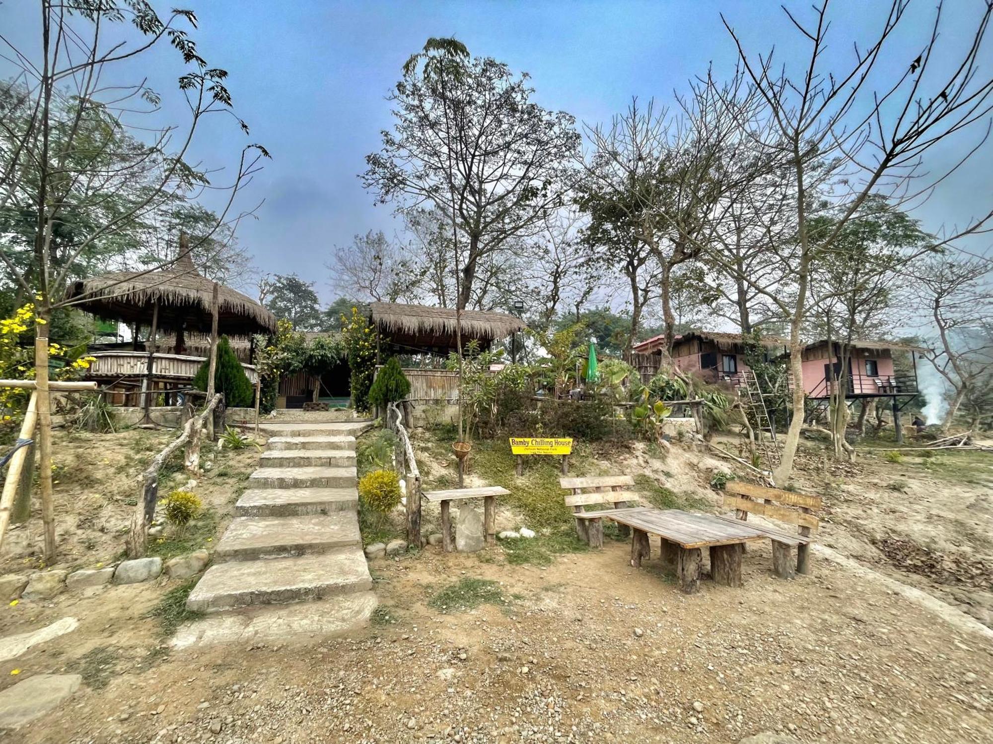 Bamby Chilling House - Feel The Nature Sauraha Esterno foto