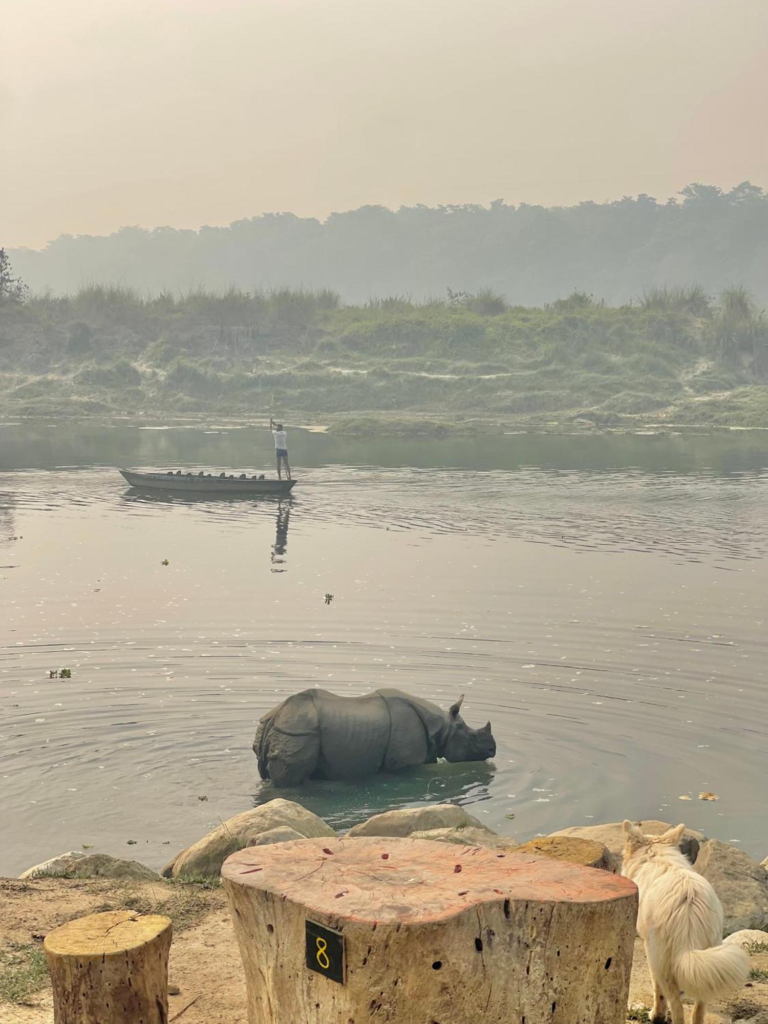 Bamby Chilling House - Feel The Nature Sauraha Esterno foto