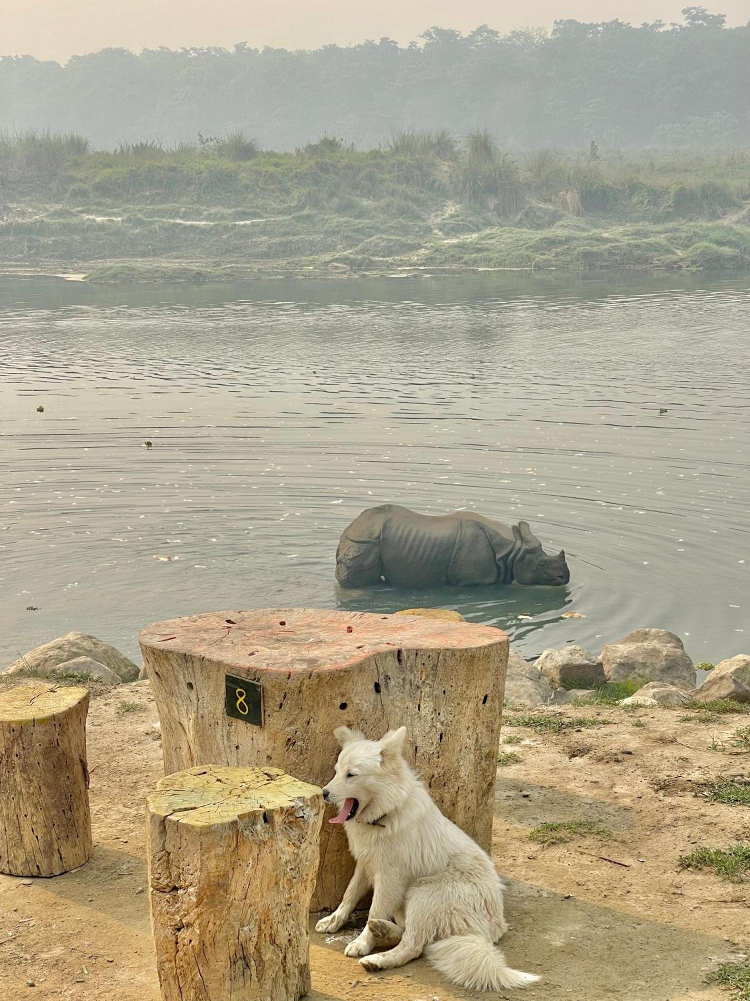 Bamby Chilling House - Feel The Nature Sauraha Esterno foto